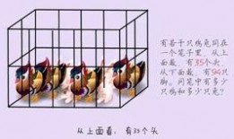 鸡兔同笼教学视频,视频教学带你轻松掌握数学思维